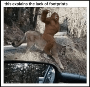 1750463367055.png