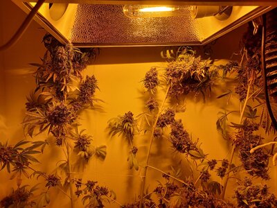 F14 (9).jpg F14 (9).jpg