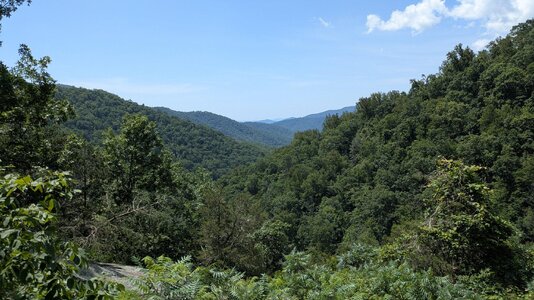 PXL_20250621_153648497.jpg