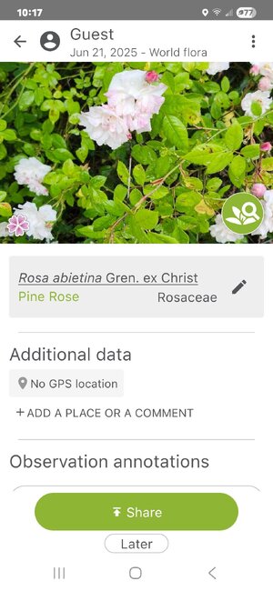 Screenshot_20250621_101755_PlantNet.jpg