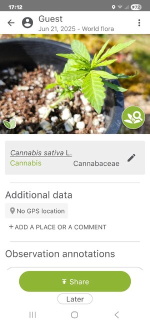 Screenshot_20250621_171201_PlantNet.jpg