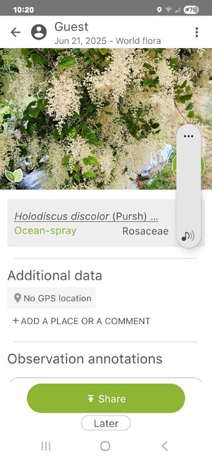 Screenshot_20250621_102038_PlantNet.jpg
