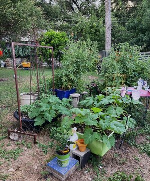 IMG_1642[1].jpeg