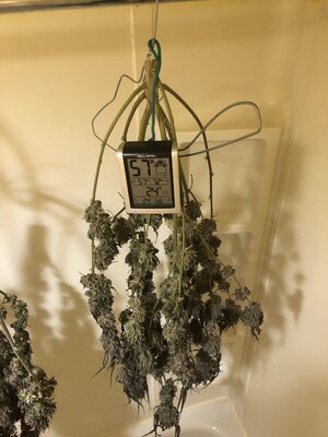 IMG_4828.jpeg