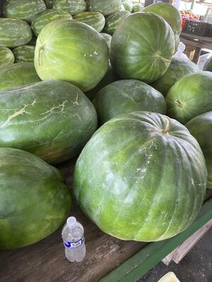 IMG_0600[1].jpeg