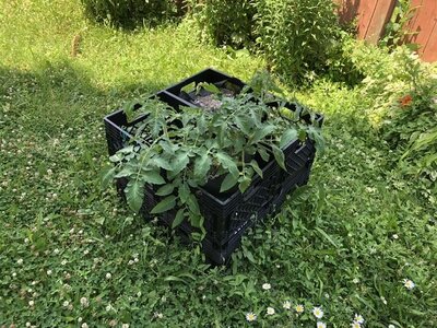 IMG_4956.jpeg