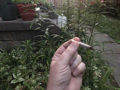 IMG_4963.jpeg
