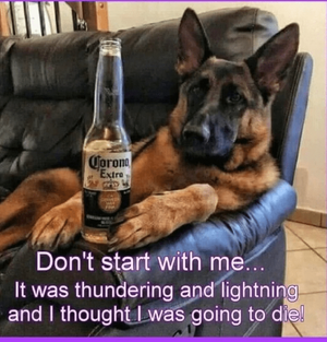 1751584009993.png