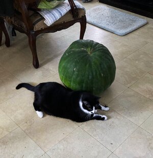 IMG_1724.jpeg