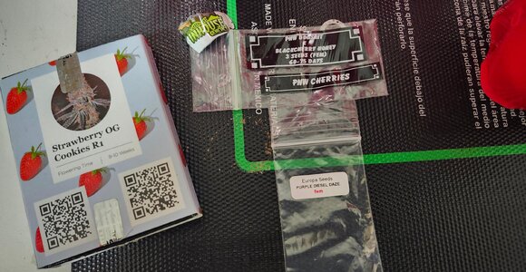 20250704_182756.jpg