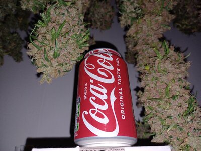 F16 chop (8).jpg F16 chop (8).jpg