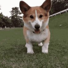 come-on.gif