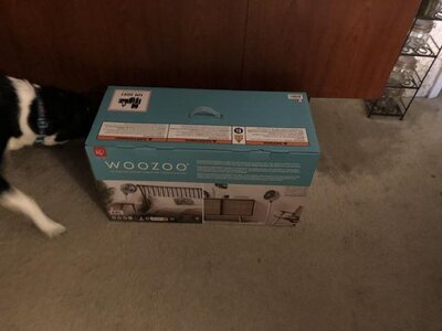 IMG_5005.jpeg