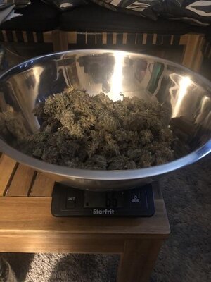 IMG_5056.jpeg