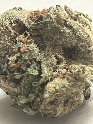 IMG_0709.jpeg