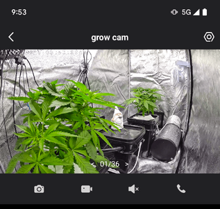 Screenshot_20250711-095310.png