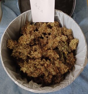 F17 cure (2).jpg F17 cure (2).jpg