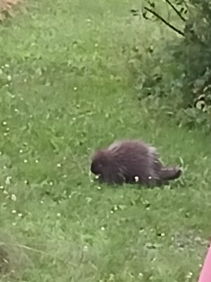 20250712_051741.jpg