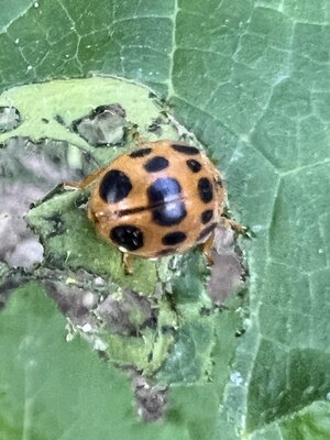 IMG_8904.jpeg