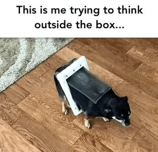 b93d9c2117a3a95c4ff2a0c3023141a1.png