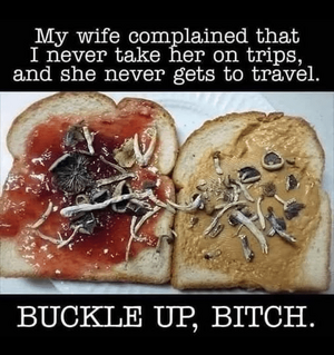 1753011846209.png