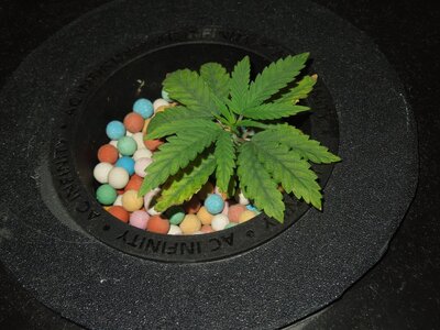 004.JPG