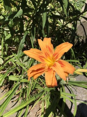 IMG_5405.jpeg