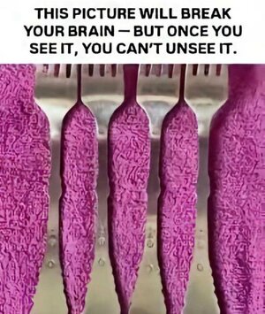 e0fb4672f9e28e1f7d032f426cc4cd83.jpg