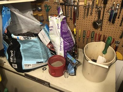 IMG_5421.jpeg