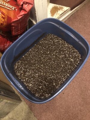 IMG_5420.jpeg