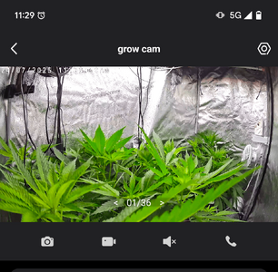 Screenshot_20250724-112902.png
