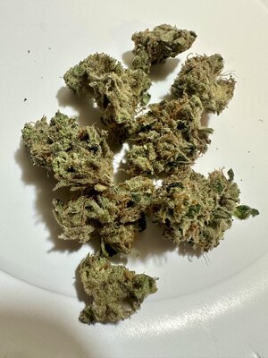 IMG_6552.jpeg