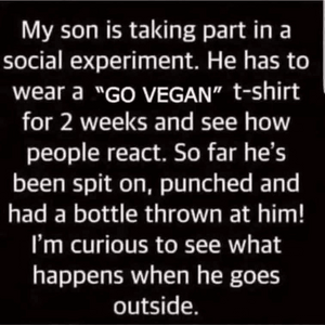 1753581623910.png