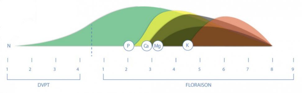 Aptus-chart-1024x316.jpg