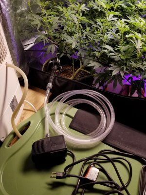auto irrigate.jpg auto irrigate.jpg
