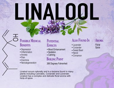 Linalool Terp Sheet.jpg