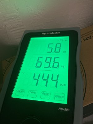 IMG_2987.jpeg