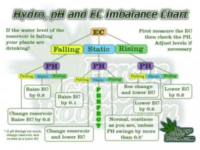 PH-and-EC-fluctuations-in-Hydroponics-768x576.jpg