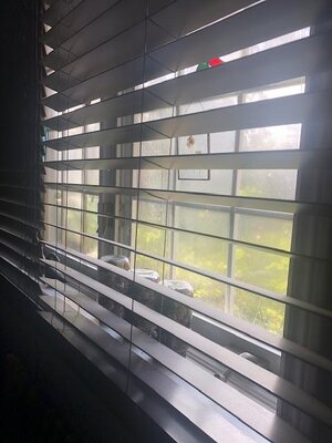 IMG_5476.jpeg