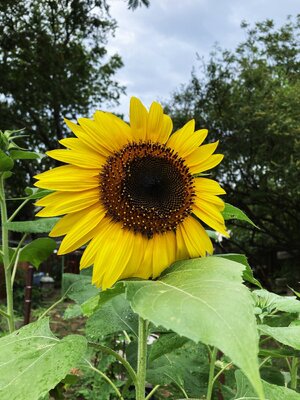 IMG_1884[1].jpeg