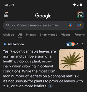 Screenshot_20250729-215009.png