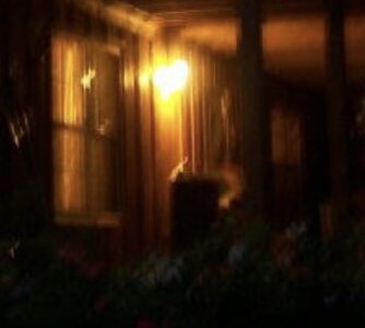 IMG_3345.jpeg