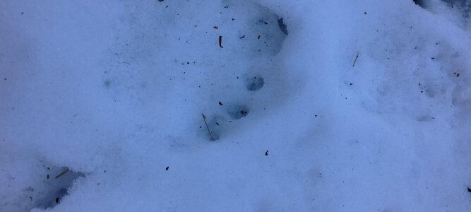 IMG_20250106_130114.jpg