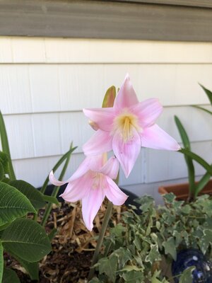IMG_8860.jpeg