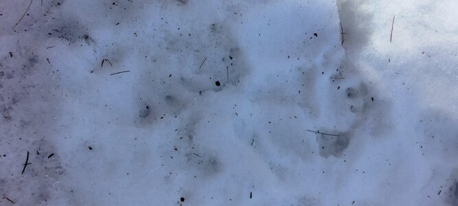 IMG_20250106_130106.jpg