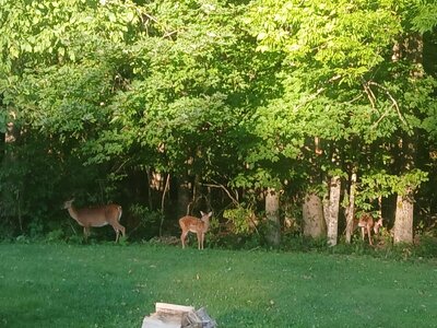 20250801_064046.jpg
