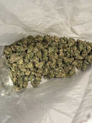 IMG_6620.jpeg