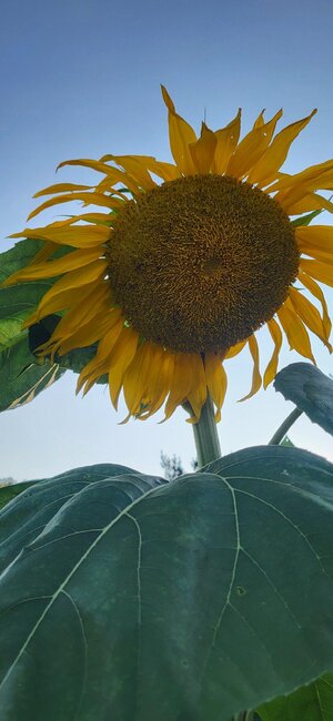 20250802_191429.jpg