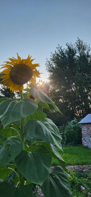 20250802_191420.jpg