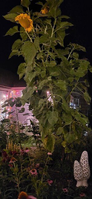 20250802_225024.jpg